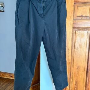 Everlane Pleated Pants